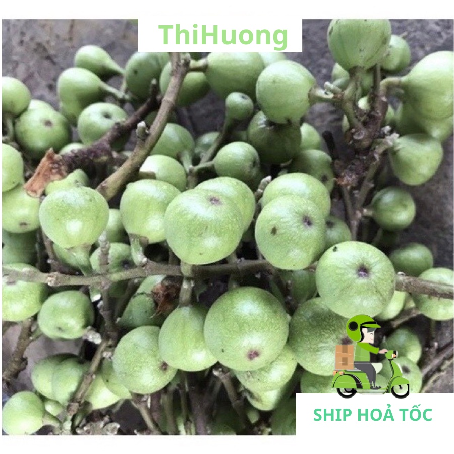 Quả sung tươi - Ship hoả tốc Hà Nội