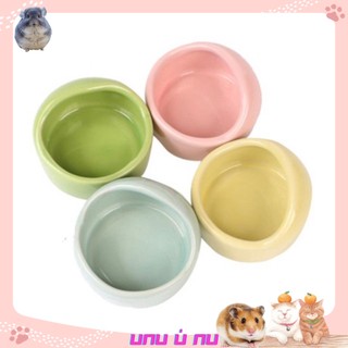 Chén Ăn Vòm Trơn Cho Hamster