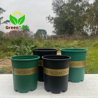 5 chậu nhựa monrovia 5gl việt nam - chậu trồng cây cảnh, hoa