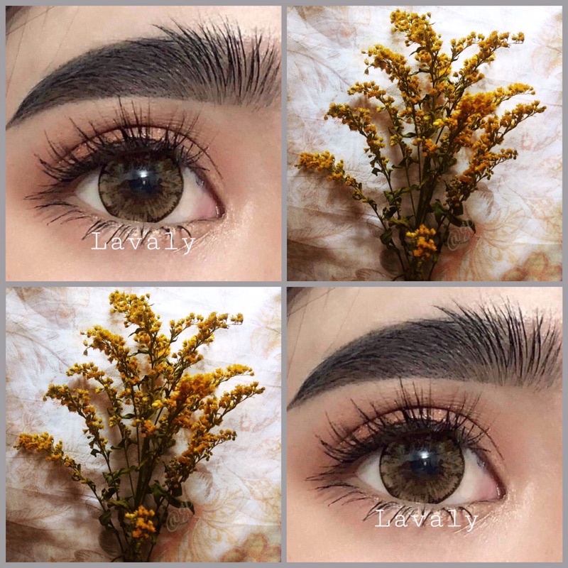 Lens nâu Vân đen giãn tròng to 14.5mm (chỉ có 0 độ) dòng 12 tháng