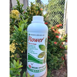 Flower kích bông chai 1 lít giúp cây ra hoa nhanh , nhiều, đồng loạt