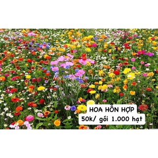 Hạt giống hoa hỗn hợp gieo vườn