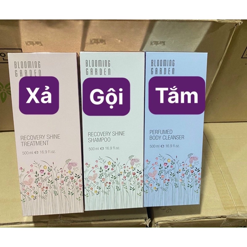 SỮA TẮM  ASHE7 HƯƠNG NƯỚC HOA  PERFUMED BODY CLEANSER 500ml