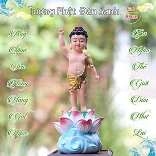Tượng Phật Đản Sanh tọa đài sen áo giác vàng vẽ màu siêu đẹp- tamlinhvanhoaphamphatgiao