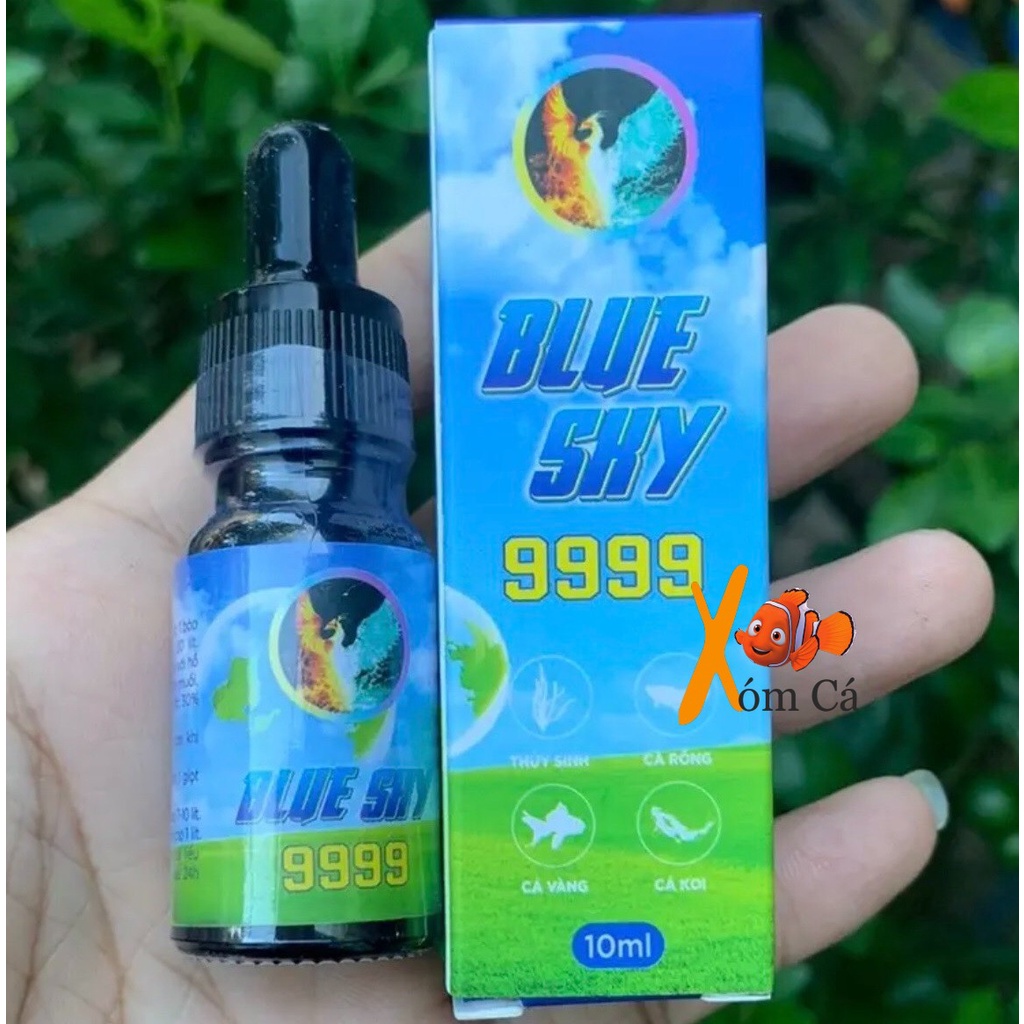 Diệt Tất cả Các Loại Nấm Cho Cá - Blue Sky 9999 Xử Lý Túm Lắc Cá 7 Màu - Vận Chuyển Cá Đi Xa