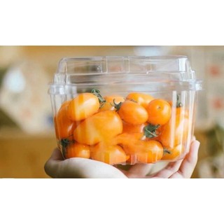 50h p500d đựng trái cây nữa kg , đựng cà chua bi, đựng nho , đựng dâu , đựng cherry nữa kg ,.....