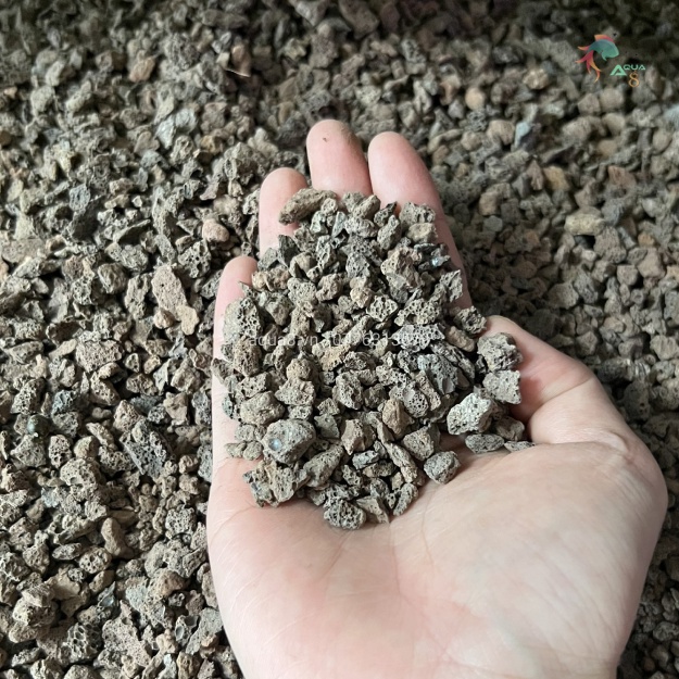 Phụ kiện bể cá: Đá nham thạch cỡ nhỏ