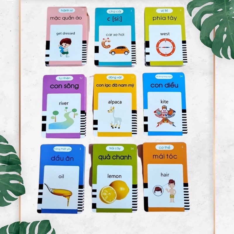 Máy Đọc Thẻ Song Ngữ Anh Việt Cho Bé Miwako Tặng Kèm Dây Sạc và Thẻ Flashcard - Miwako Official Store