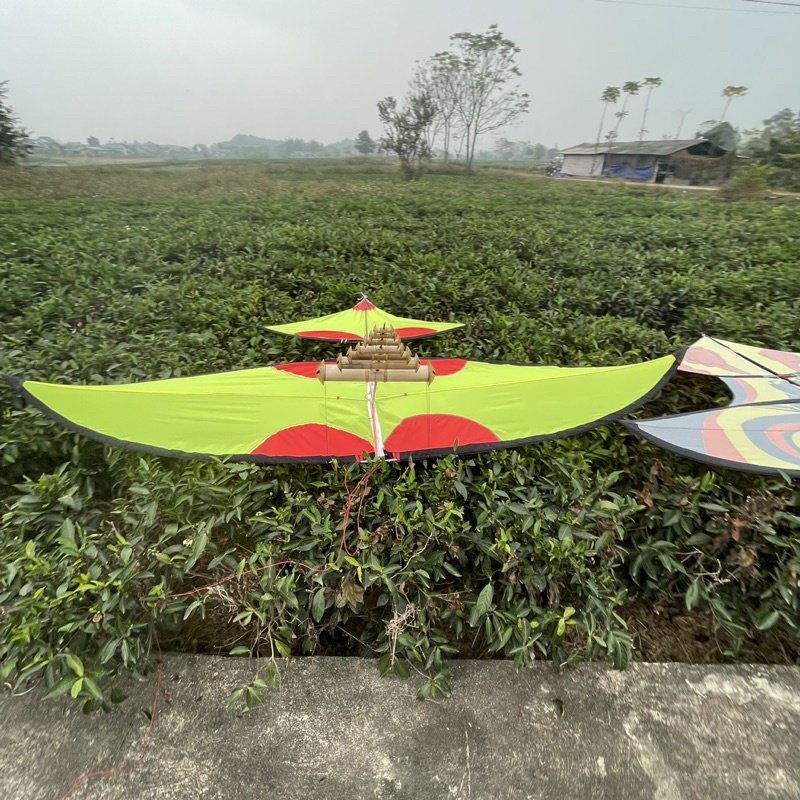 Áo diều 3m sale