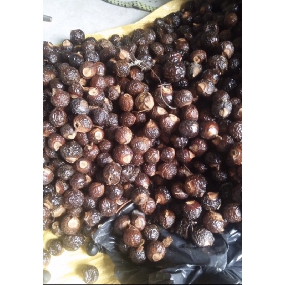 1kg Bồ Hòn Tách Hạt