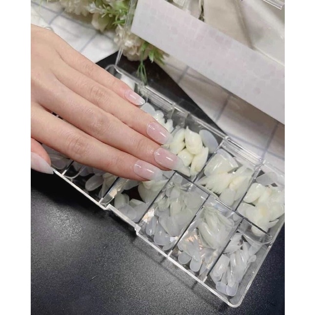 MÓNG ÚP NGẮN FOM HÀN