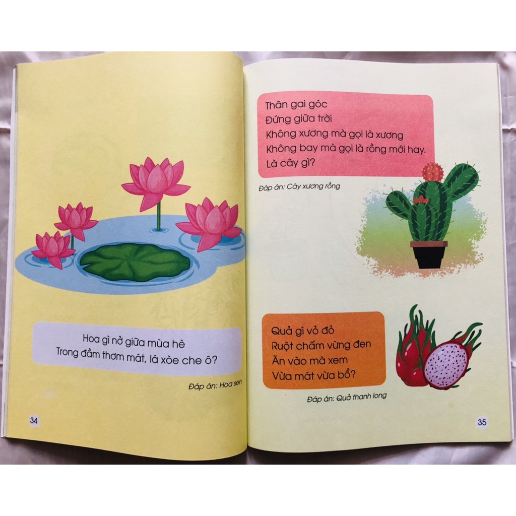 Sách- 120 Câu Đố Việt Nam