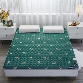Đệm Thảo Dược Cao Cấp Thế Hệ Mới