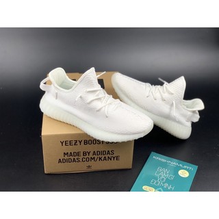 Giày thể thao/ Sneaker Y700 Stt (Full box)