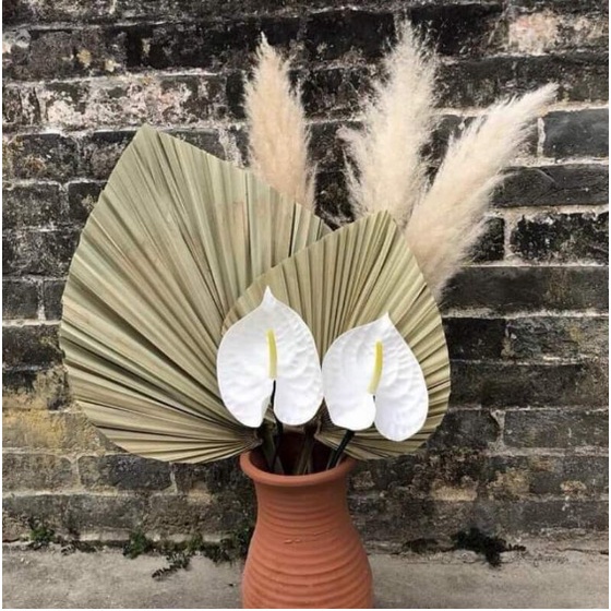 Lá cọ khô tự nhiên cắm bình bông, trang trí phòng, decor chụp hình.