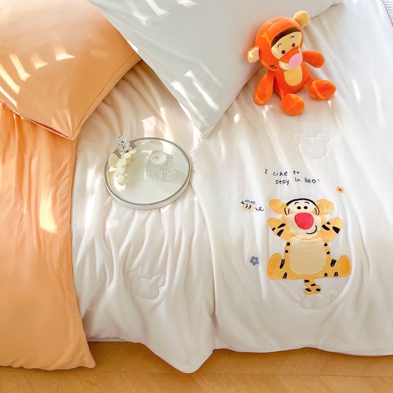 Chăn thun lạnh disney IGUN BEDDING đầy đủ tem mac và túi sang chảnh cho mùa hè