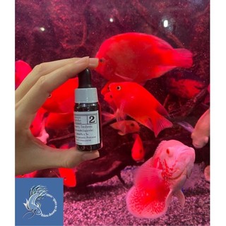 Bio Knock 2- Phòng Và Diệt Các Loại Nấm Cho Cá Cảnh
