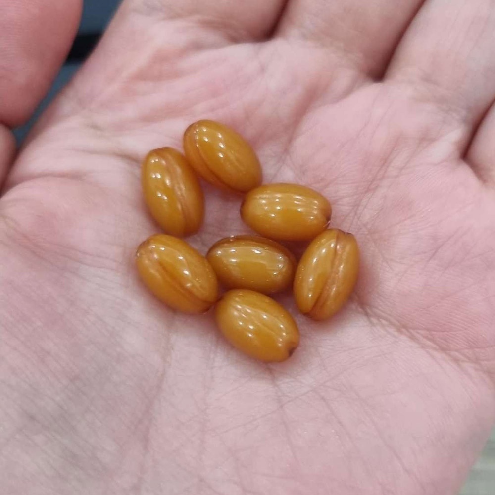 Viên uống hỗ trợ & khắc phục tai biến Orihiro Nattokinase 2000FU 60 viên