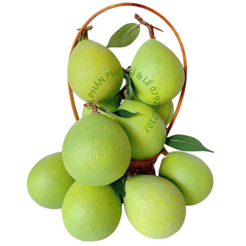 Trái Giả Trái Bưởi Nhỏ  mô hình Việt Nam công nghệ Thái Lan GIỐNG THẬT 99%-Trang trí nhà cửa, hàng quán