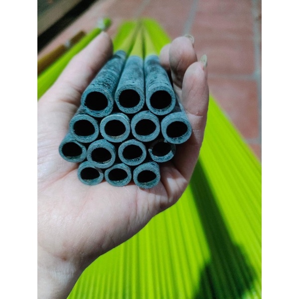 Nan xanh chuối nhí siêu rẻo ,giá rẻ,1,1m,/1,25m/1,4m