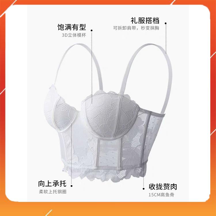 Áo cup ngực định hình chất liệu ren cao cấp có gọng nâng đẩy ôm gọn ngực đệm mút mỏng sang chảnh 9902