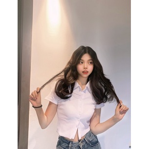 Ethelgirl Áo Thun Croptop Tay Ngắn Cổ Polo Màu Trơn Dáng Ôm Thời Trang Hàn Quốc Quyến Rũ Cho Nữ