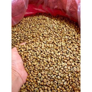 Cà phê Hạt Robusta Honey rang mộc 100% nguyên chất (gói 1000g)