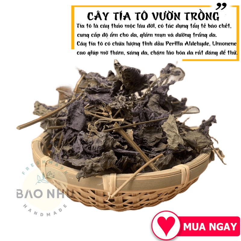 Cây tía tô vườn trồng sạch xông hơi giải cảm, nấu nước tắm trắng da