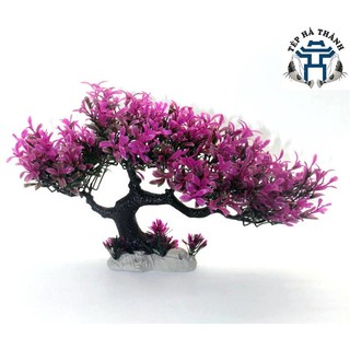 Lũa Bonsai Mini Trang Trí Bể Cá - Bể Thủy Sinh (D:20cm C: 15cm)
