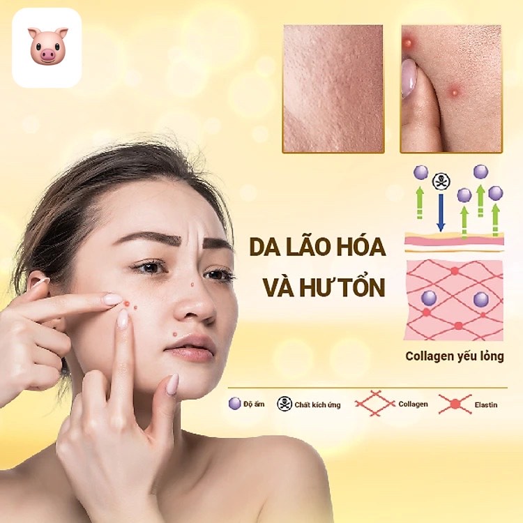 Hộp 60 viên Collagen trẻ hoá đẹp da The Collagen++ Extra Plus Rosa Bonita