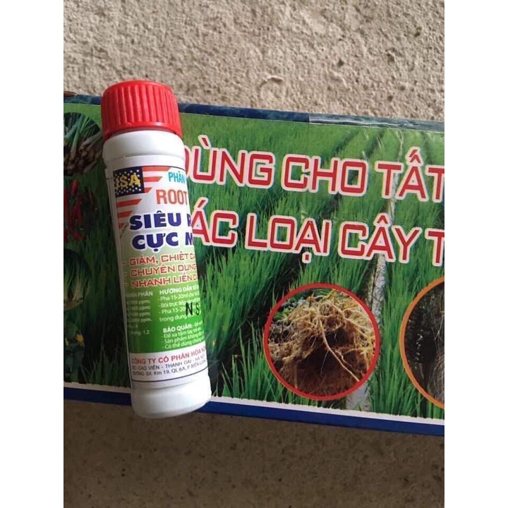 Phân bón vi lượng bón rễ Root King số 1