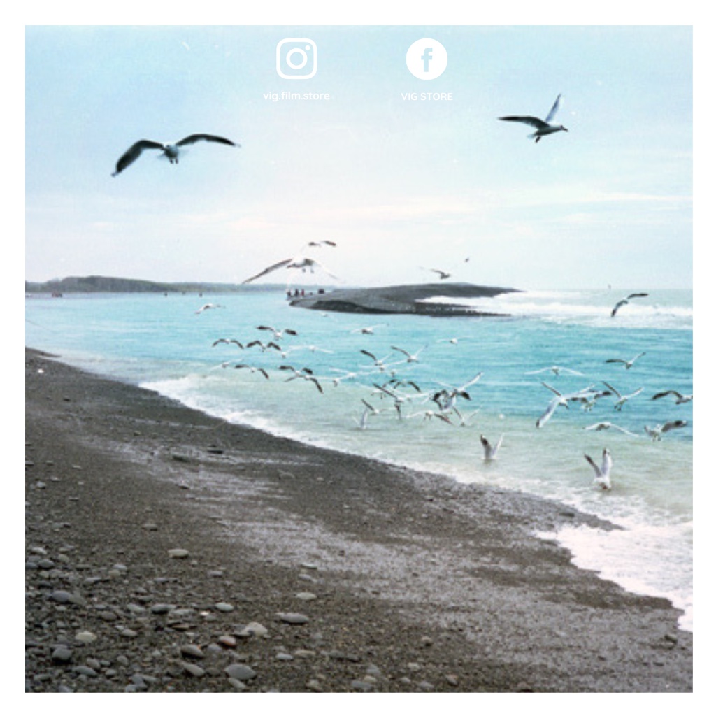 Canon Canonet QL19 máy ảnh film