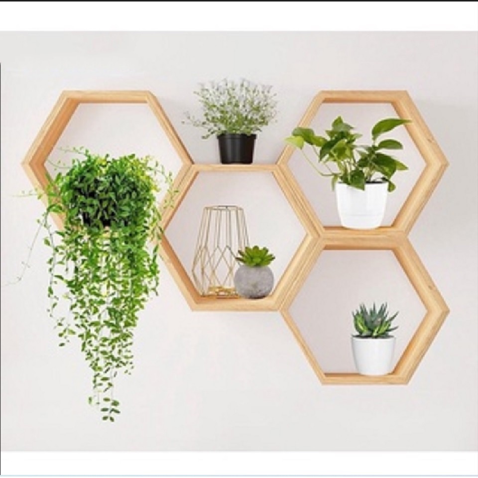 Kệ Tổ Ong Trang Trí - Kệ Lục Giá Treo Tường