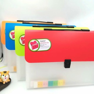 Cặp Đựng Hồ Sơ 12 Ngăn 9217