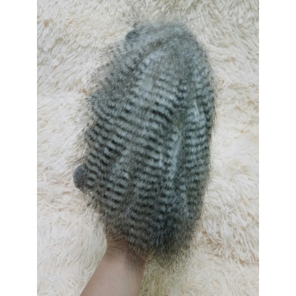 Gấu bông con nhím