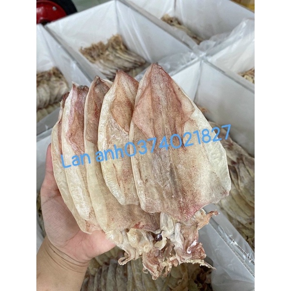 10-12 con khô mực câu tay Lý Sơn tươi ngọt hàng đặc biệt chưa lên phấn trắng 250gram