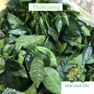 Lá chè xanh tươi - Ship siêu tốc Hà Nội
