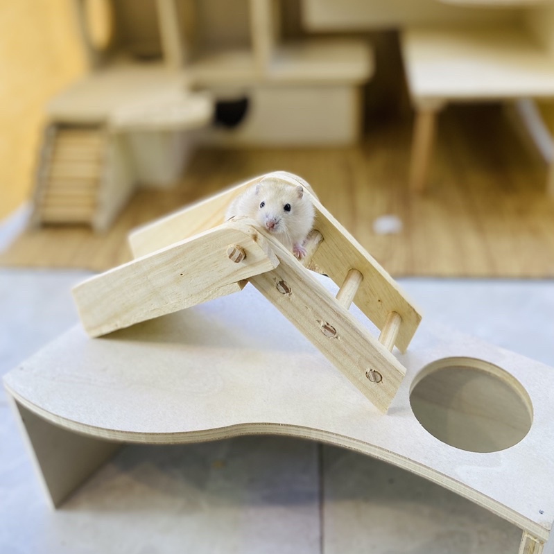 Thang gập gỗ thông cho hamster, sóc