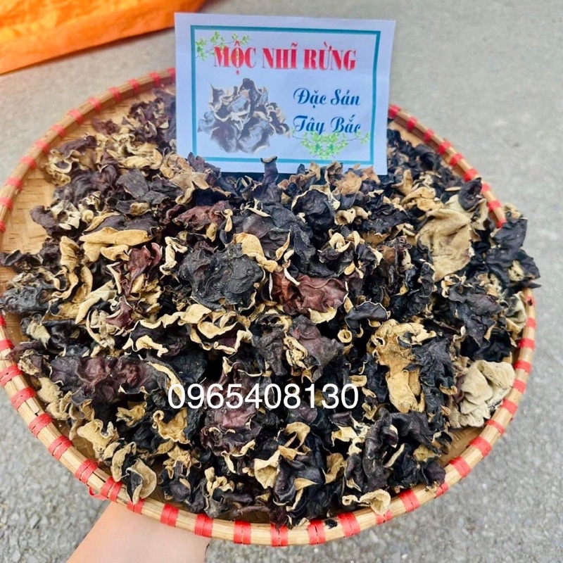 Mộc Nhĩ Cách To Rừng ( Nấm Mèo Tây Bắc )
