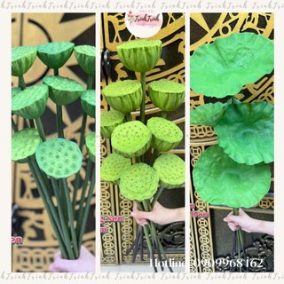 Lá sen, đài sen giả, gương sen quan âm hàng cao cấp loại 1