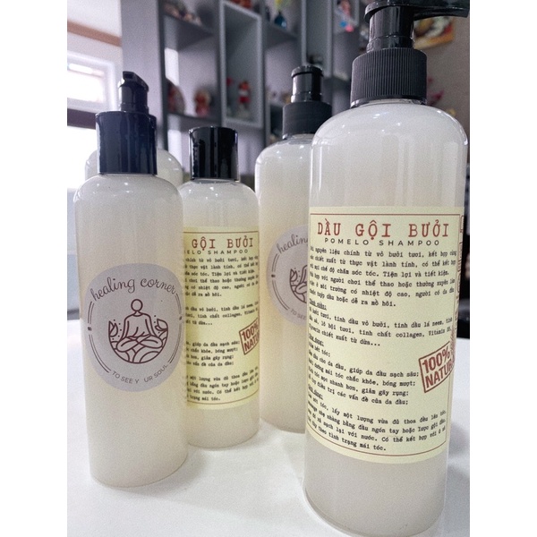 Dầu gội Bưởi giảm bết, gàu, ngứa da đầu - Healing corner