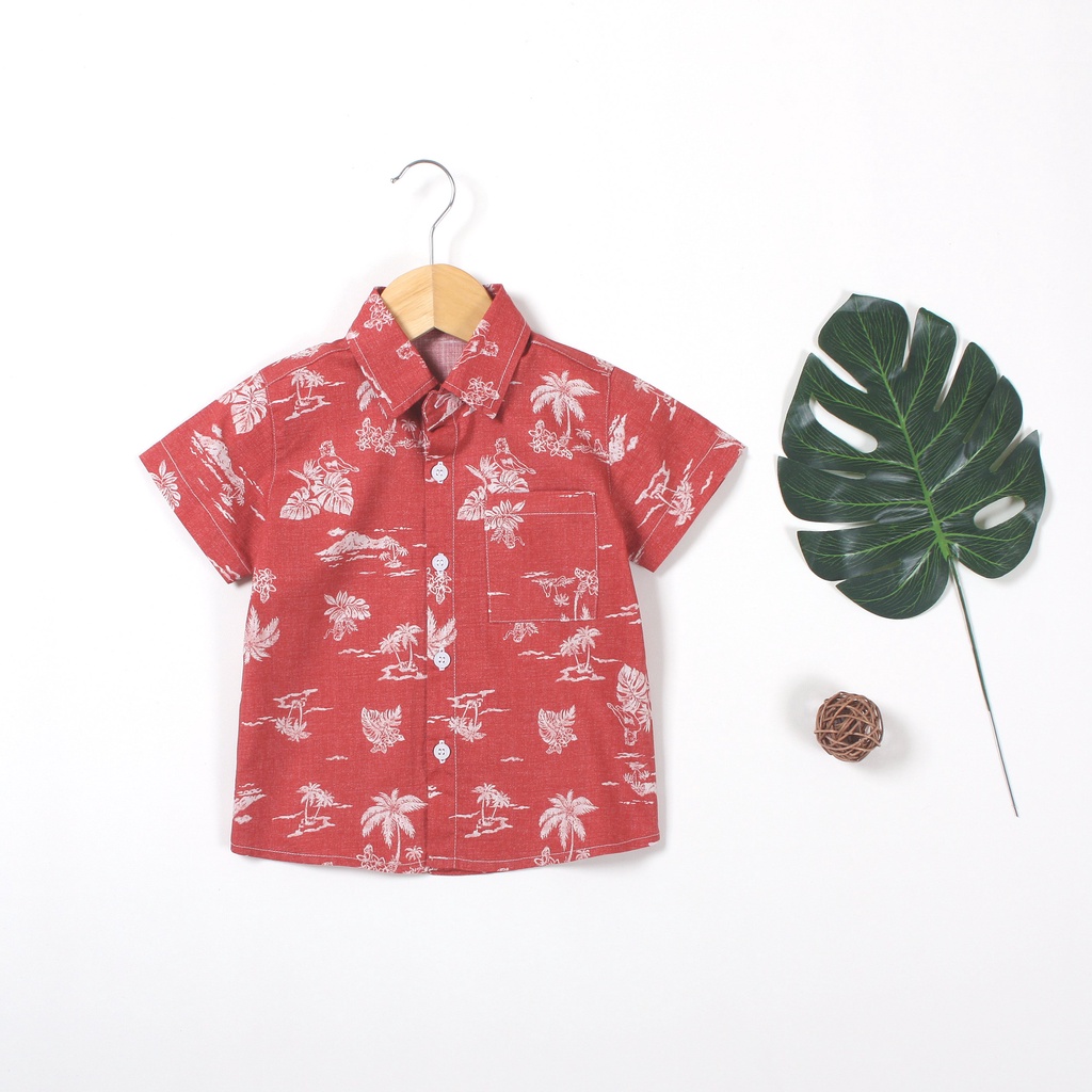 2302.3SO MI BT LINEN HT BIEN