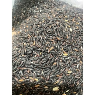 Nếp cẩm - nếp than đặc biệt