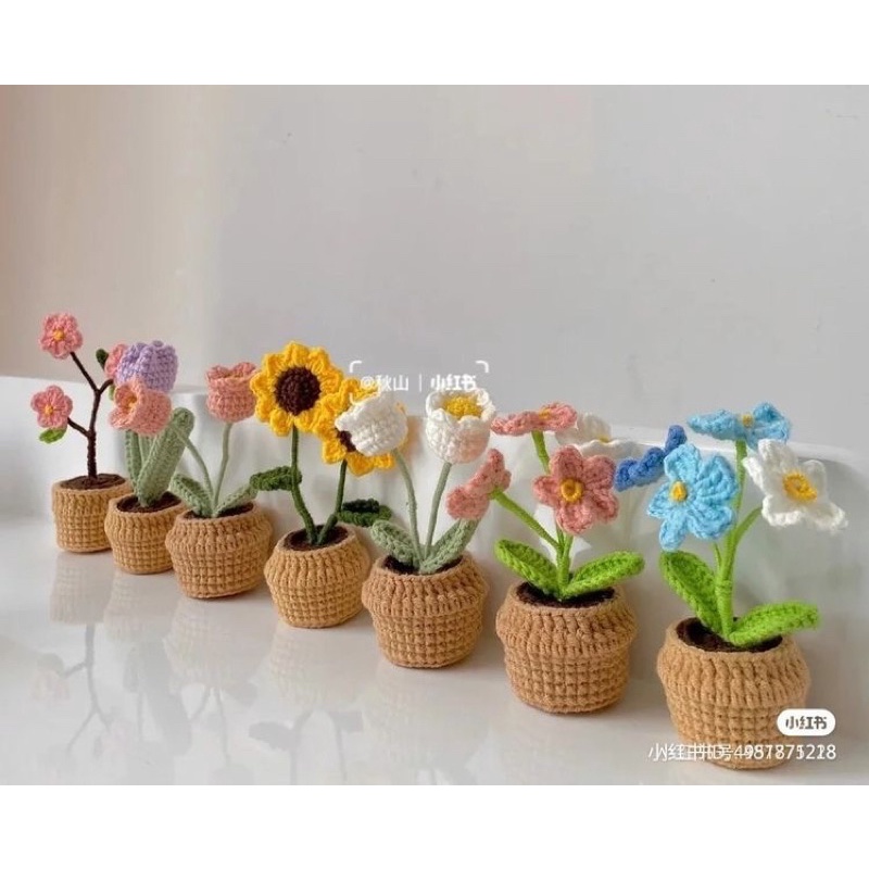 CHẬU HOA mini Handmade để bàn