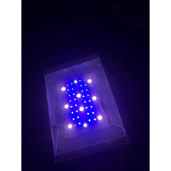 Đèn bể cá có wifi