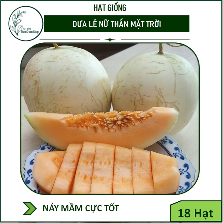 DƯA ĐỎ NỮ THẦN MẶT TRỜI (CANTALOUPE )