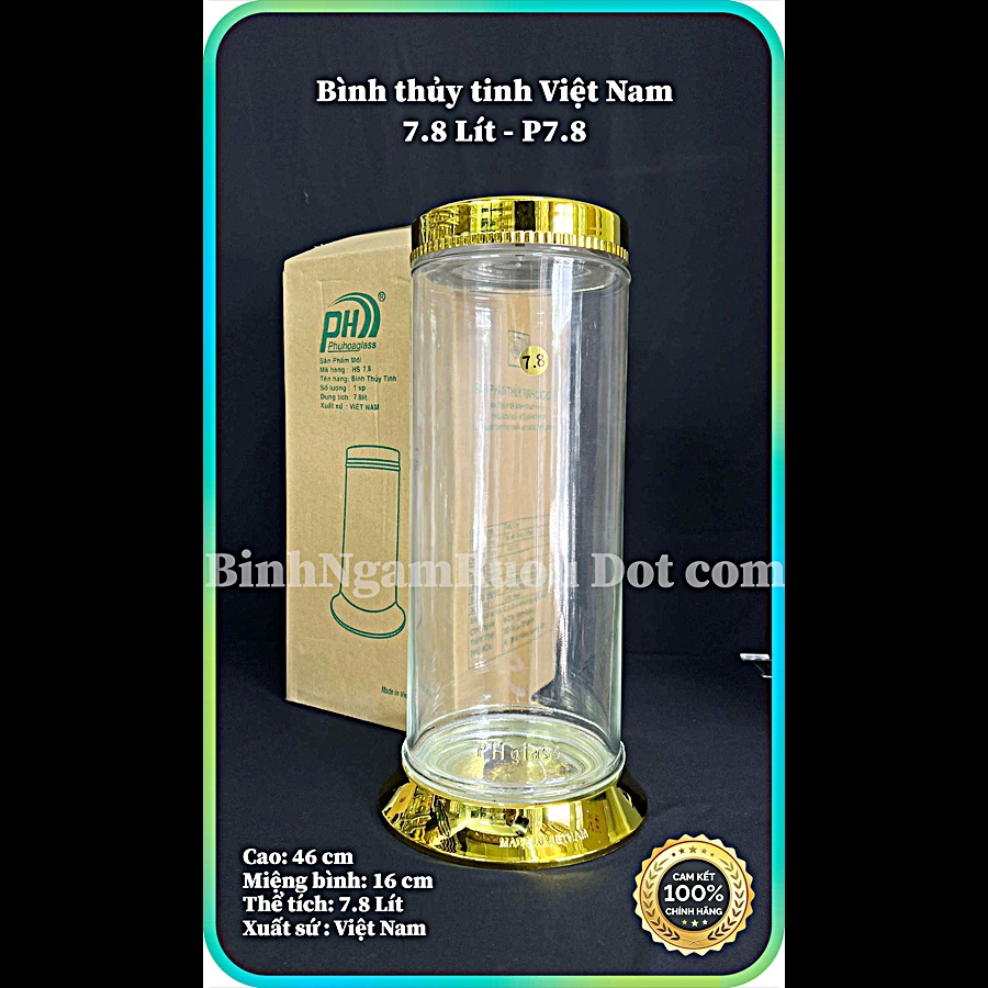 PH - 7.8 Lít | Việt Nam | Bình Ngâm Táo Mèo, Ngâm Chuối Hột, Ngâm Nhân Sâm - Sâm Ngọc Linh - [GIÁ SIÊU RẺ]