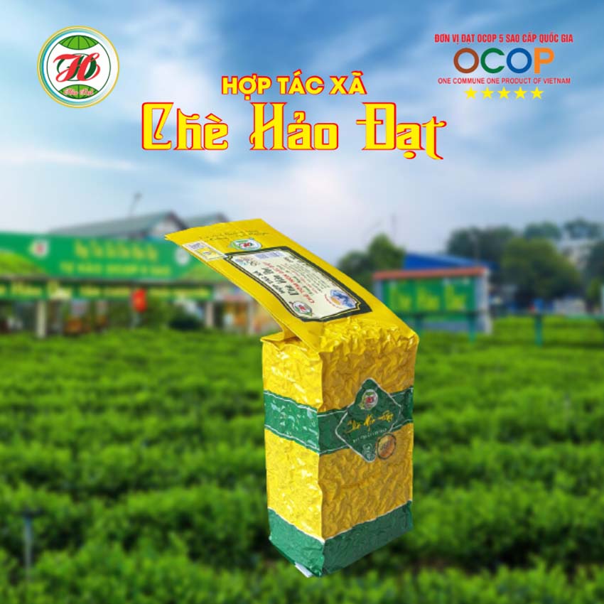 CHÈ TÔM NÕN ĐẶC BIỆT - TÂN CƯƠNG THÁI NGUYÊN - CHÈ HẢO ĐẠT Trà búp khô xanh ngon sạch đặc biệt đạt chuẩn OCOP