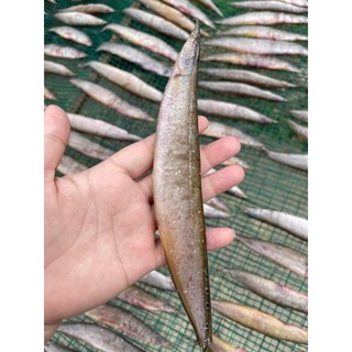 500GAM KHÔ CÁ CHẠCH ĐỒNG CÀ MAU