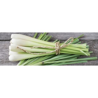 NATURAL SẢ BỘT  30g